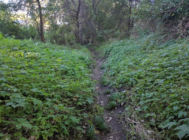 Twin Ridge II Park - Image 2