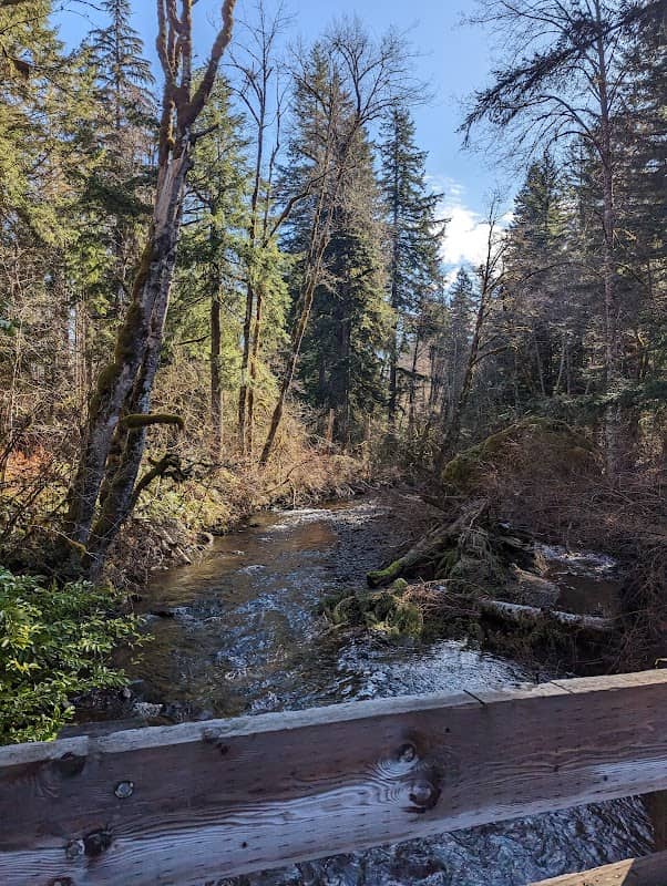 Osborne Mountain Trail 250 - Image 3