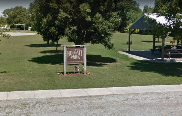 Holgate Park - Image 1
