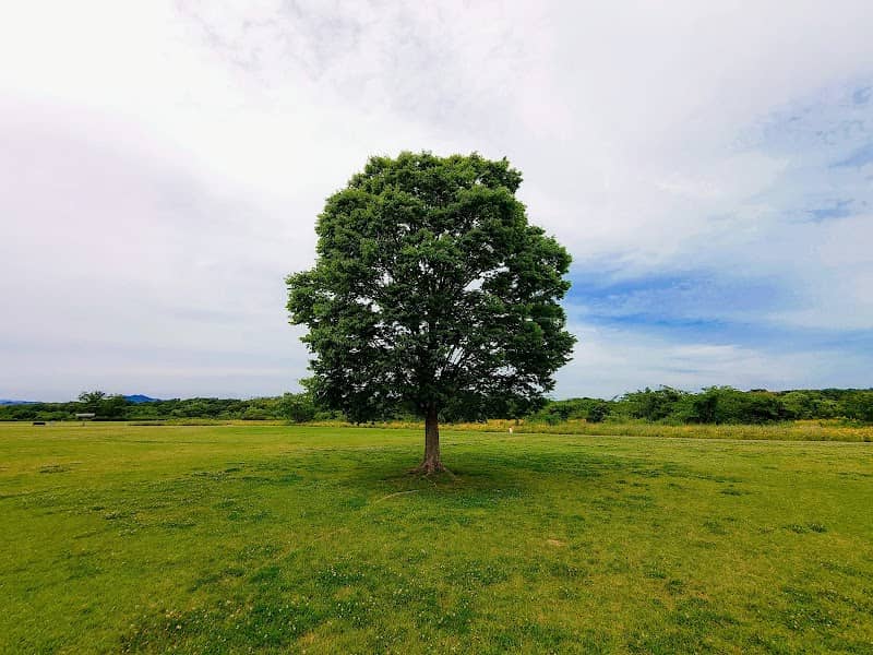 Kasada Park - Image 1