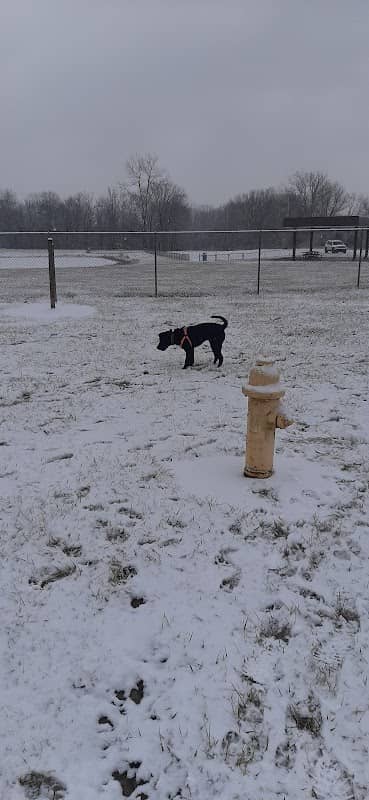 Dog Park - Image 1