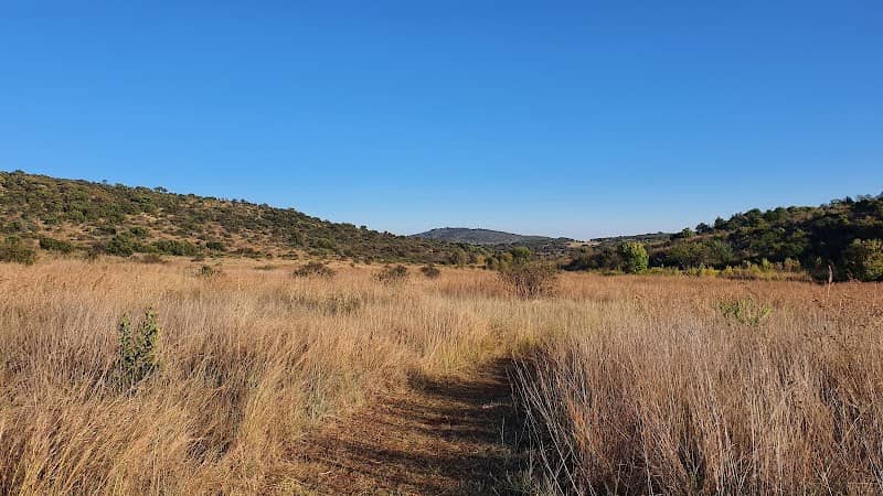 Groenkloof Nature Reserve - Image 1