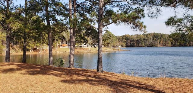 Dames Ferry Park - Image 2