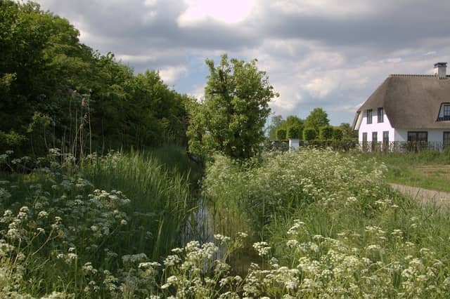 Rietdijk - Image 2