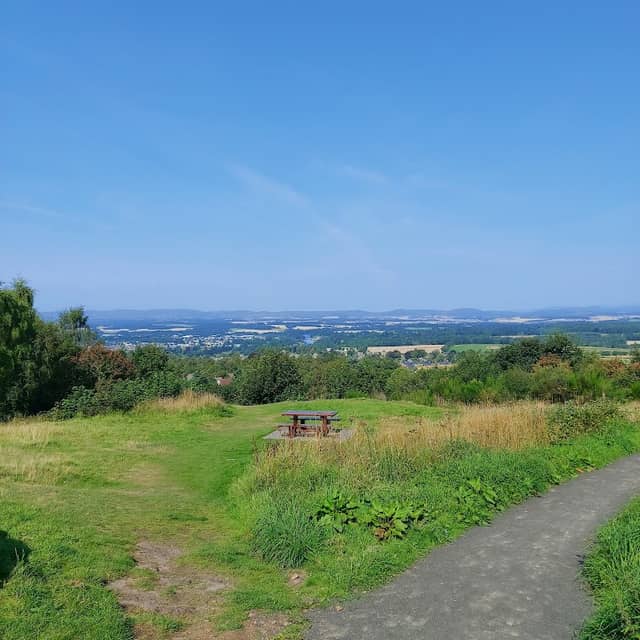 Kinnoull Hill Woodland Park - Image 3