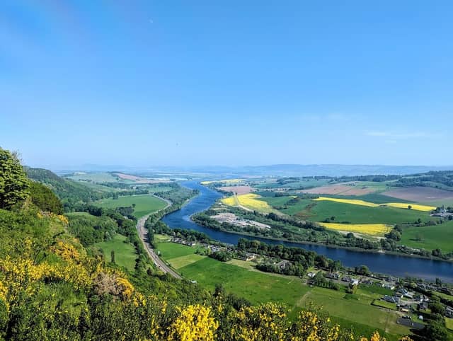 Kinnoull Hill Woodland Park - Image 1