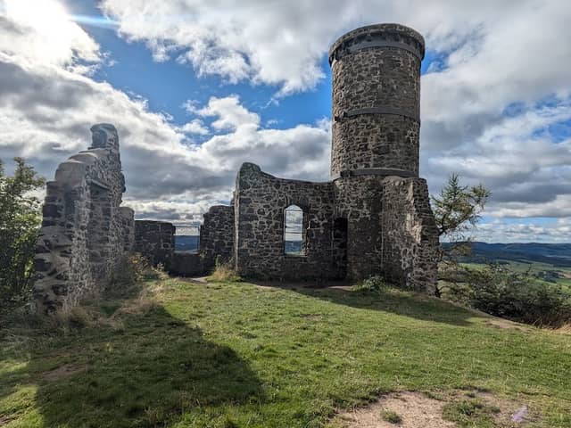 Kinnoull Hill Woodland Park - Image 2