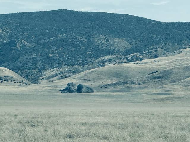 Carrizo Plains Ecological Reserve - American Ranch Unit - Image 3