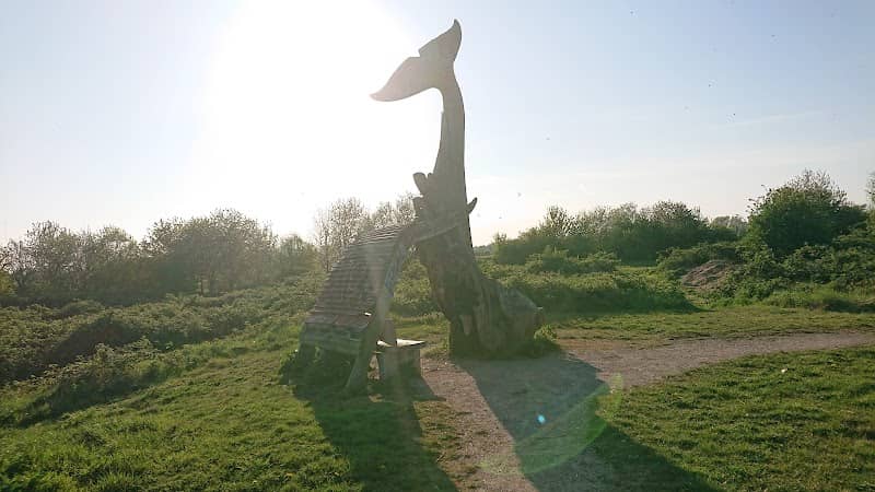 Harding's Pits - Image 2