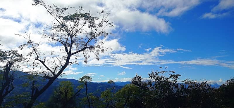 Kametpani (Gangora) - Image 1
