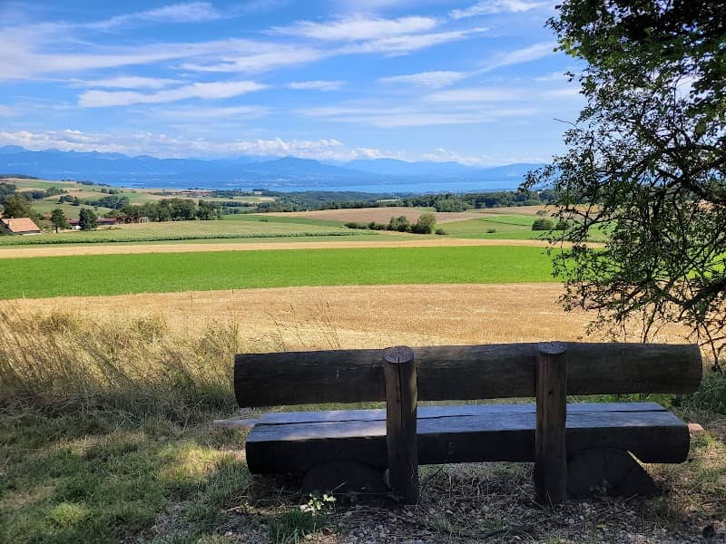 Banc Panoramique Marchissy - Image 1