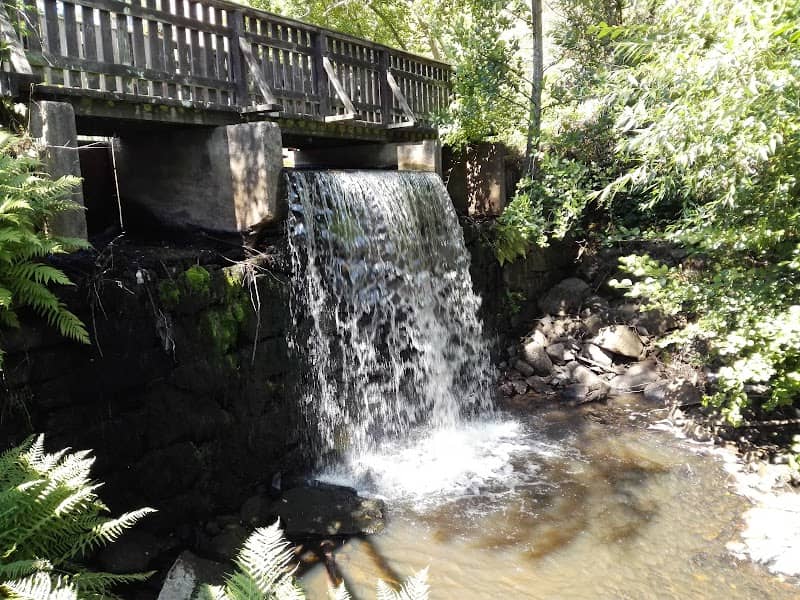 Dunkehallaleden - Image 1