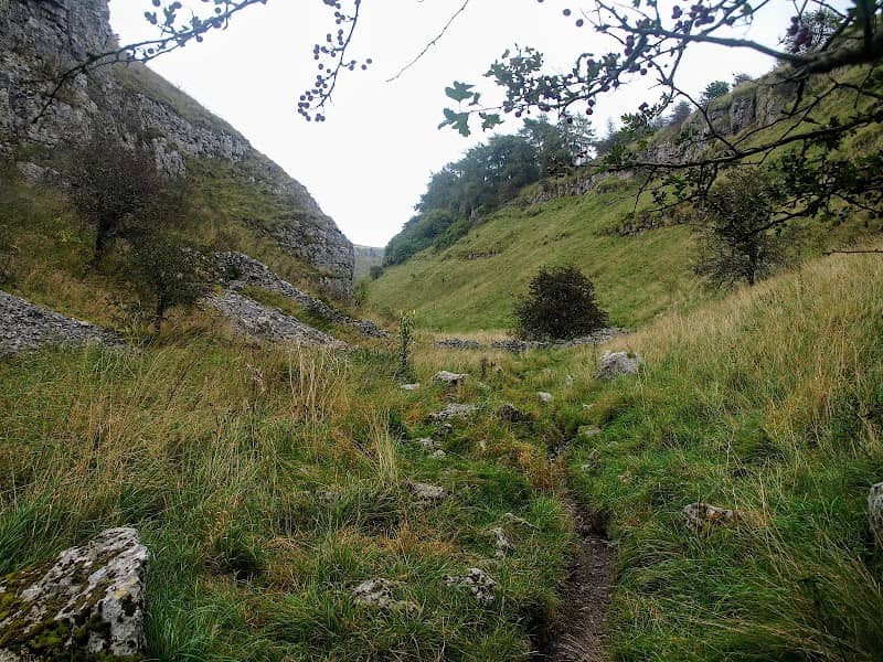Lathkill Dale - Image 1