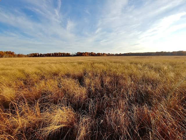 Fish Lake Nature Trails - Image 1