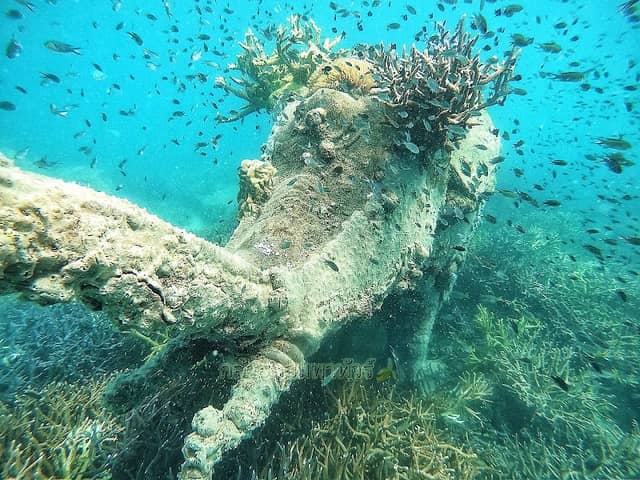 กล้วยหอมพาทัวร์ - ดำน้ำ ตกหมึก ตกปลา เกาะกูด Banana Speedboat Kohkood - Image 3