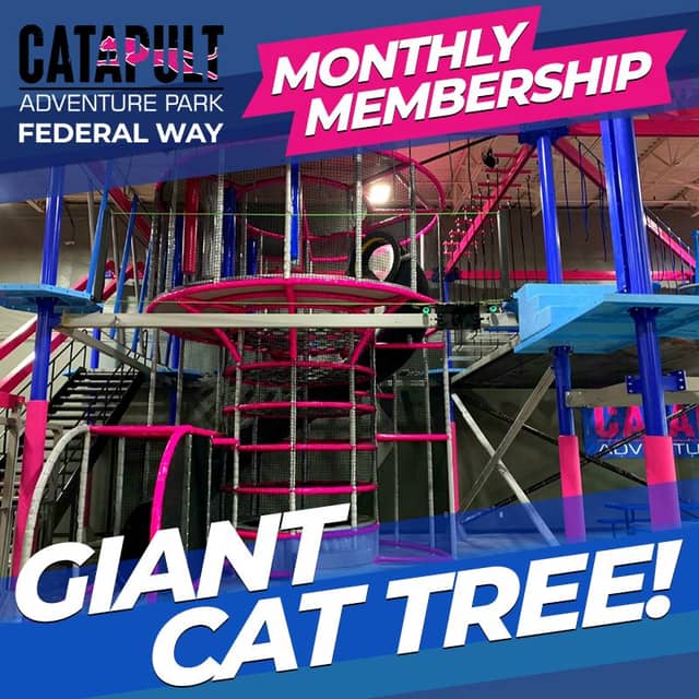 Catapult Adventure Park - Image 1