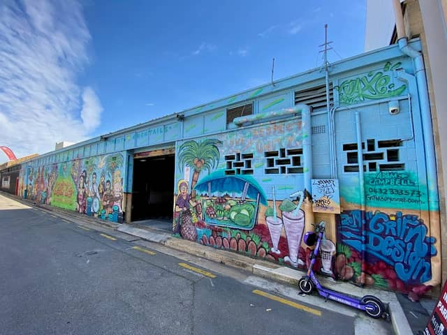 Shannon Place Murals - Image 1