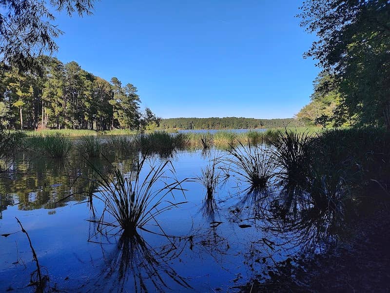 Lake Wateree State Park - Image 3