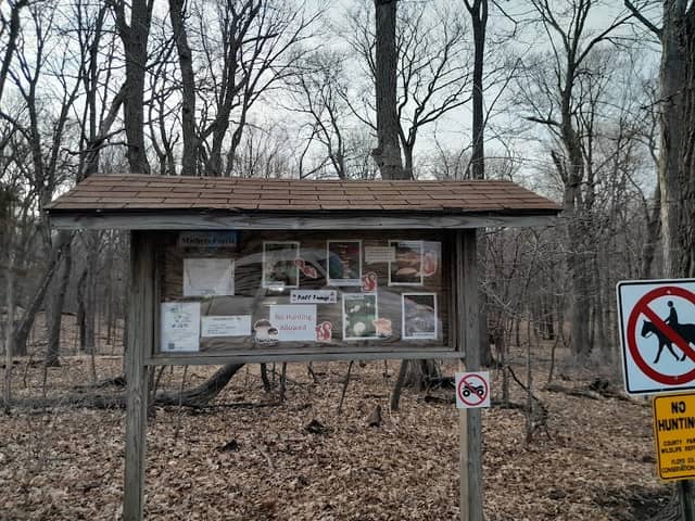 Mathers Woods - Image 1