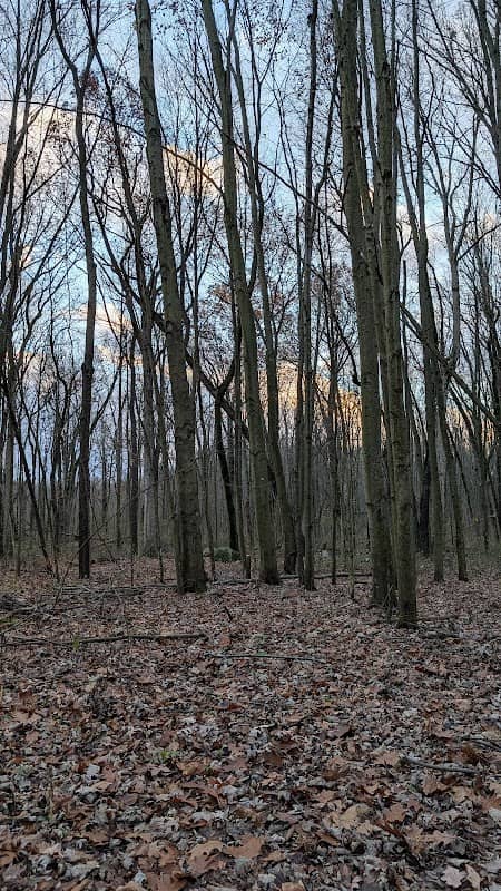 Woodland Park Helmer Road Entrance - Image 1