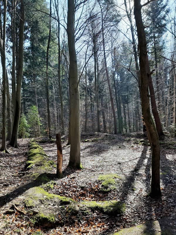 Klösterle - Image 1