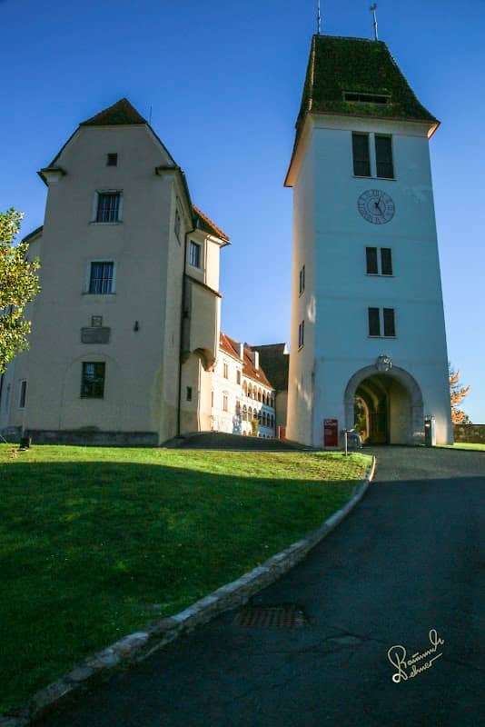 mundi-Foto-Steiermark-Seggau - Image 2