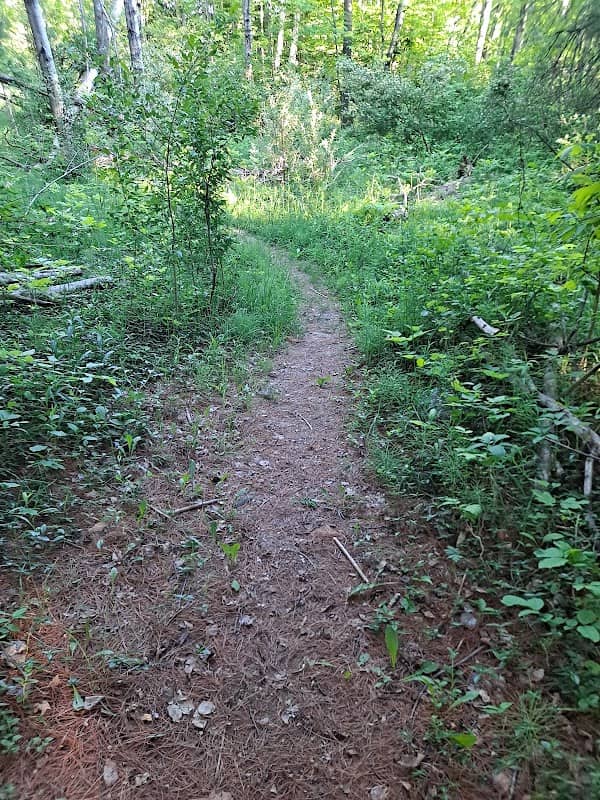 Trapp Farm Nature Preserve - Image 1