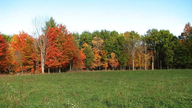 Breedsville Park - Image 1
