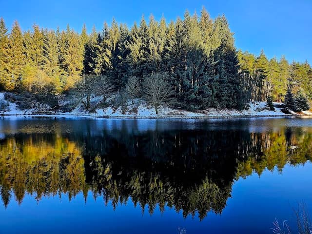 Entwistle - Image 1
