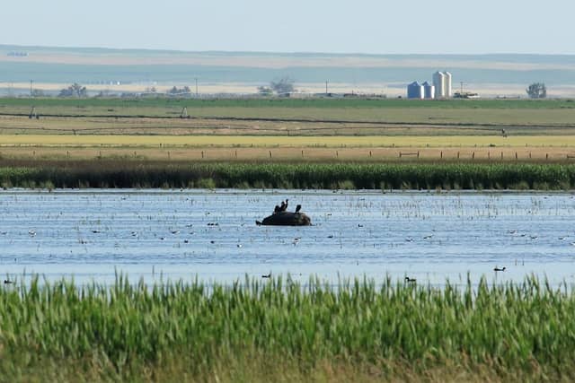 Michelson's Marsh - Image 1
