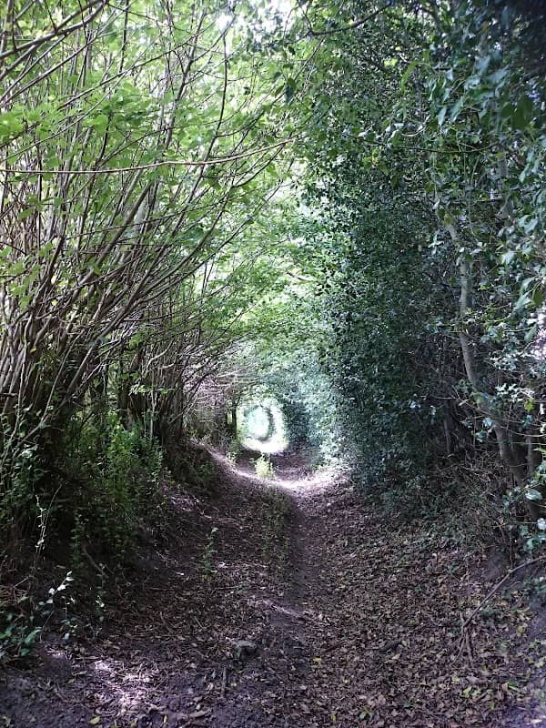 Surrey Hills Park - Image 2