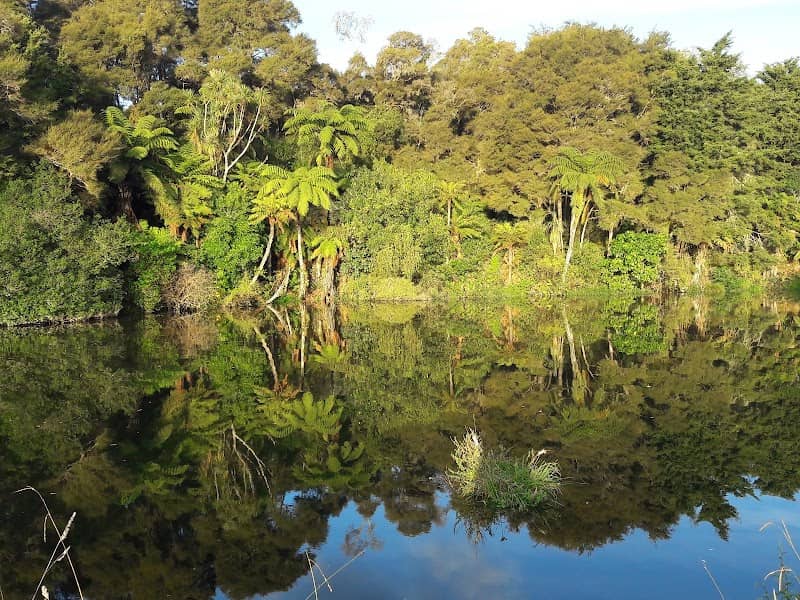 Little Waipa Reserve - Image 1