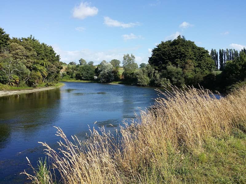 Little Waipa Reserve - Image 2