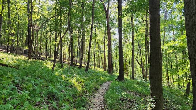Gunpowder Falls Big Loop Trail - Image 3