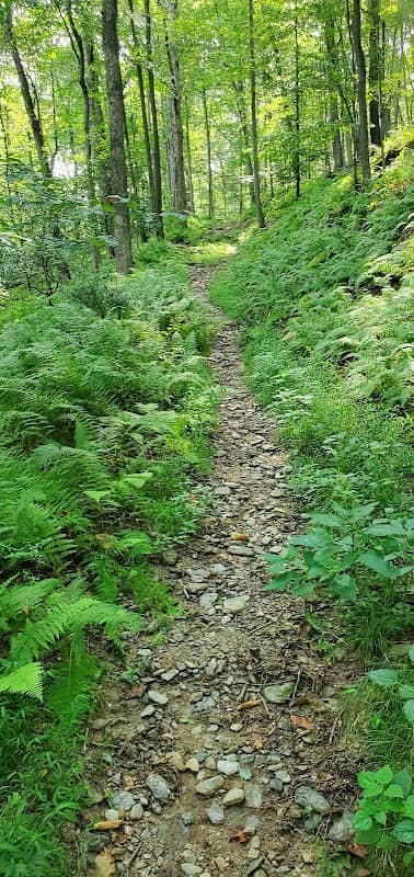 Gunpowder Falls Big Loop Trail - Image 1