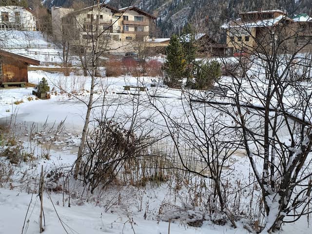Seebach - Image 1