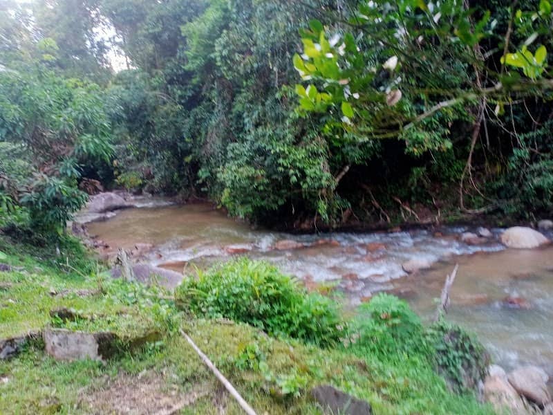 Lata Panggung - Image 1