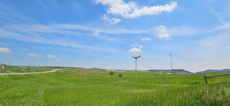 The Quaal Windsock - Image 1