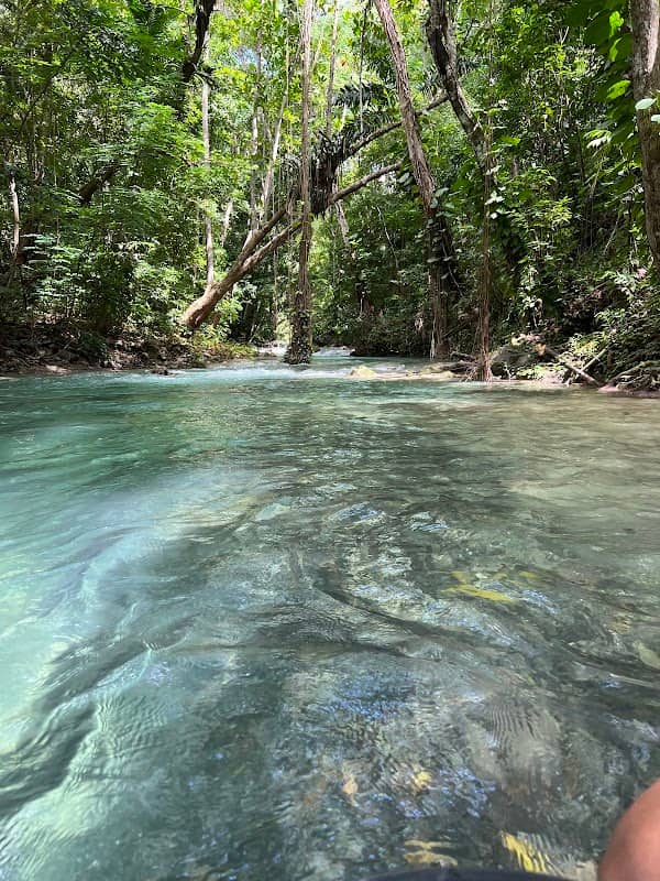 Calypso Cove - Image 2