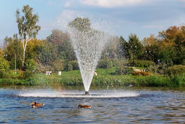 City Park Recreation - Image 3