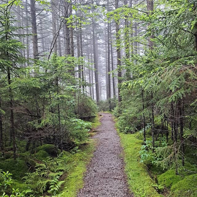 Gaudineer Scenic Area - Image 1
