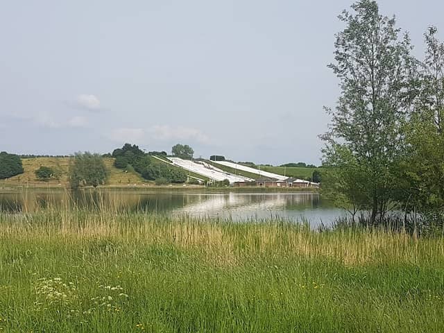 Wilgenlabyrint - Image 1