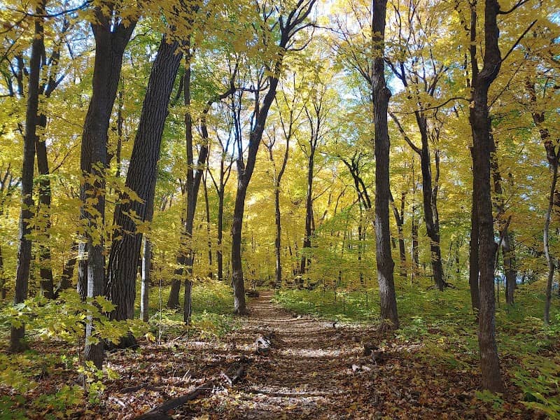 The Big Woods Preserve - Image 2