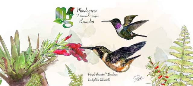 Mindogreen Turismo Ecológico - Image 1