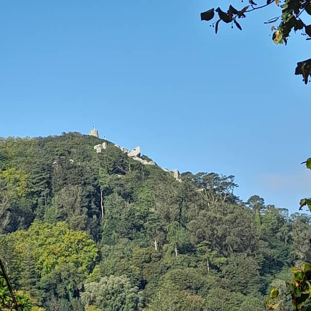 Miradouro da Vigia - Image 3