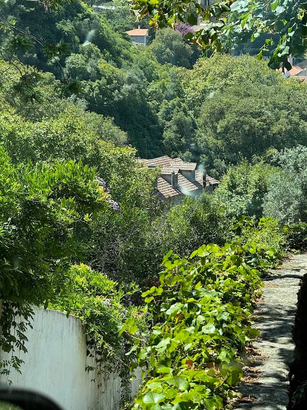Miradouro da Vigia - Image 2