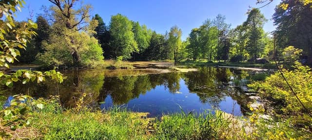 Pear Tree Park Pond - Image 1