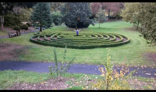 Labyrinth - Image 1