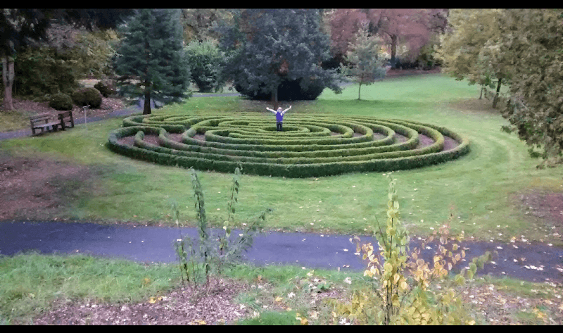 Labyrinth - Image 1
