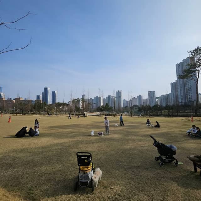 어진반려공원 - Image 1